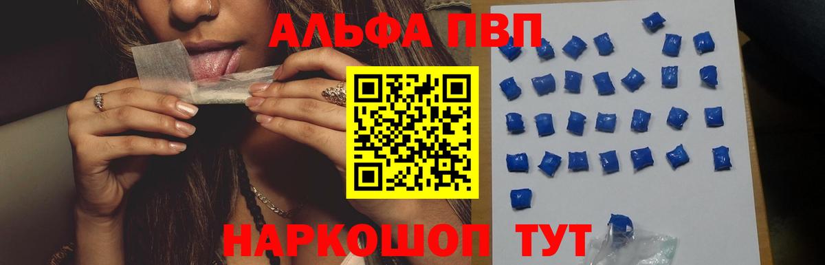 A PVP СК КРИС Скопин