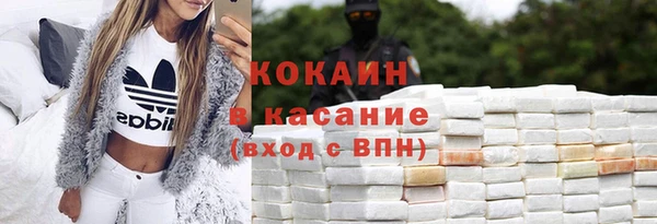 индика Ростов