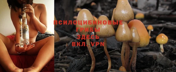 хмурый Приозерск