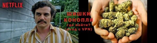 индика Ростов