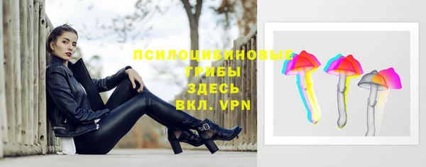 бошки Пролетарск