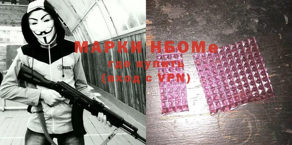 индика Ростов