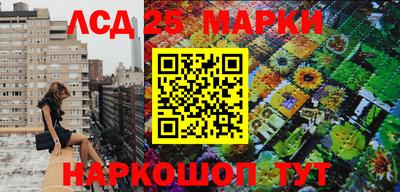 спиды Гусев