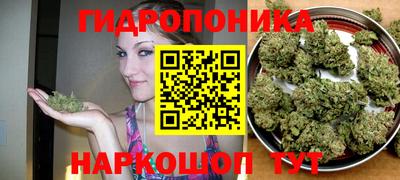 стаф Гусиноозёрск