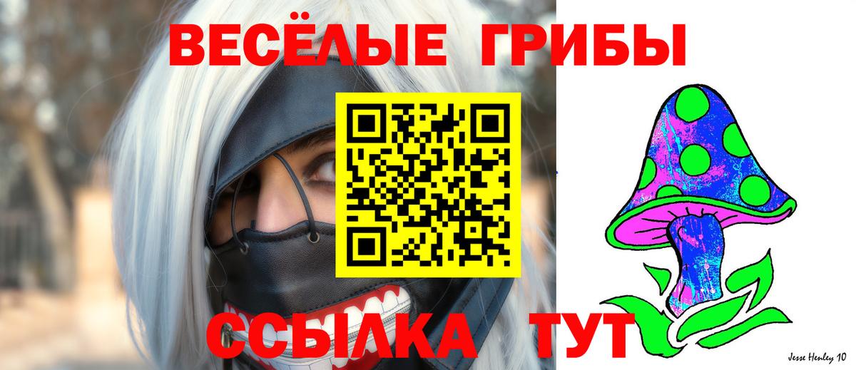 Скопин  Псилоцибиновые грибы GOLDEN TEACHER  Вход с VPN 